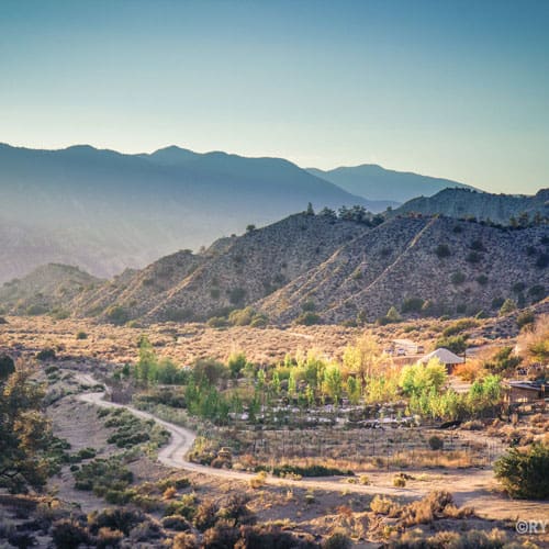 Quail Springs landscape