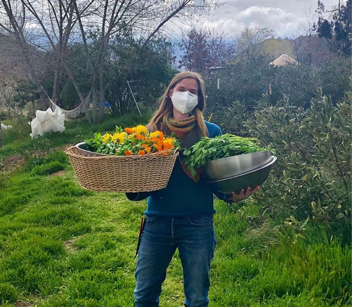 Safe Harvesting - Quail Springs